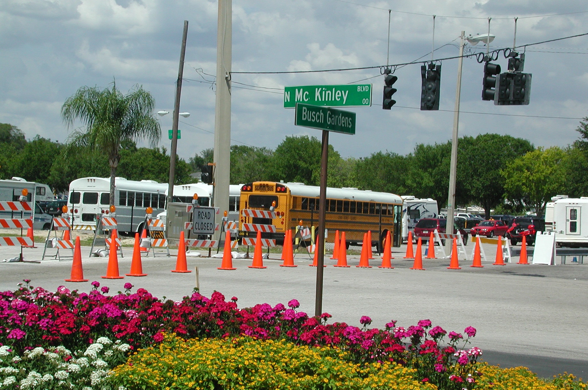 Cones on a street for traffic safety